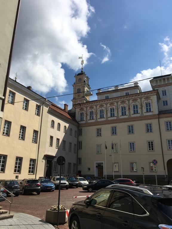 Skapas Street Vilnius 아파트 외부 사진