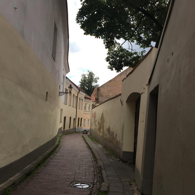 Skapas Street Vilnius 아파트 외부 사진